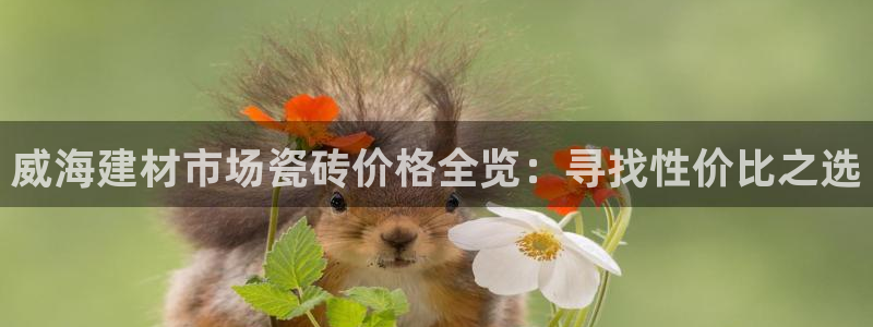 杏鑫平台线路测速