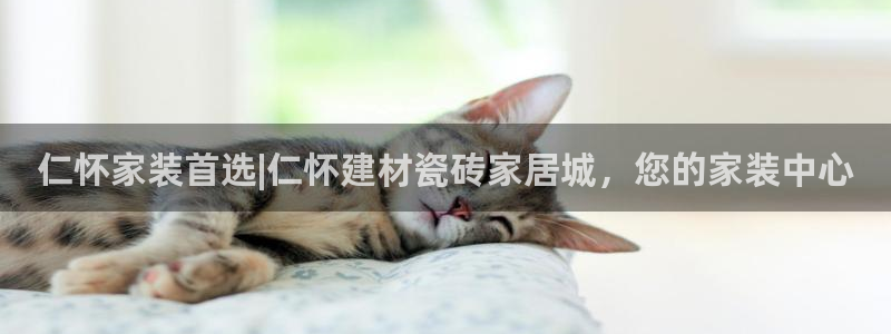 杏鑫平台怎么样
