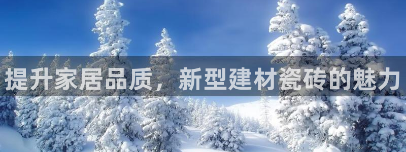 杏鑫平台代理注册流程及费用