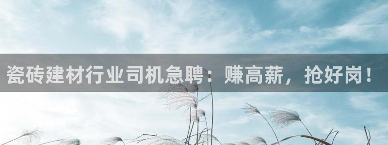 杏鑫平台代理注册流程