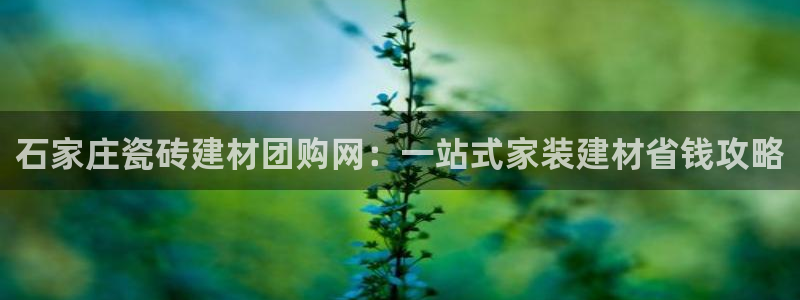 杏鑫平台线路测速