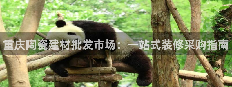 杏鑫平台正规吗