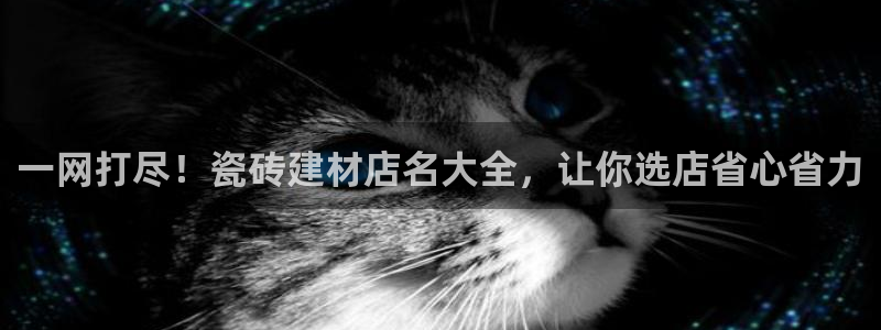 杏鑫平台代理注册流程图