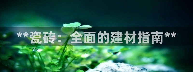 杏鑫官方平台怎么样