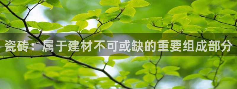 杏鑫平台代理注册多少钱