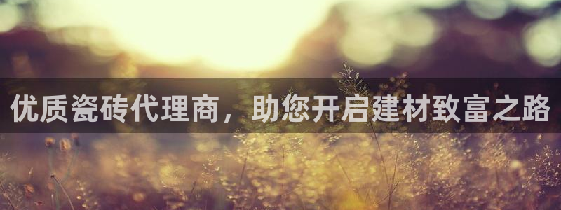 杏鑫娱乐开发团队