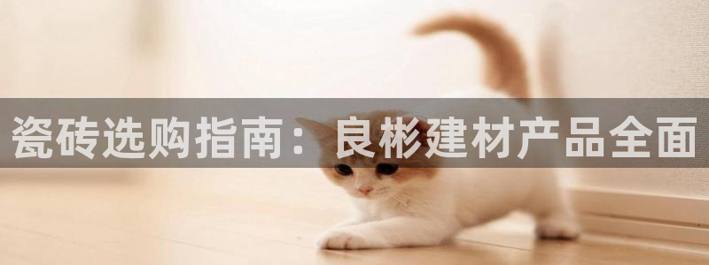 杏鑫平台注册网址