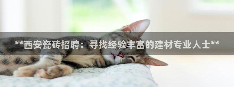 杏鑫官网注册账号是什么