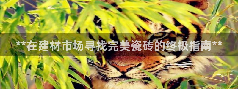 杏鑫平台代理注册流程视频