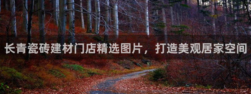 杏鑫官网最新信息新闻