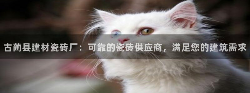 杏鑫注册平台官方网站下载