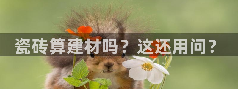 杏鑫娱乐怎么下