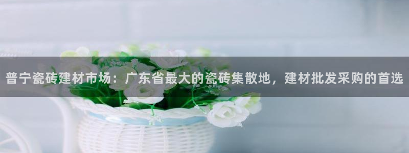 杏鑫娱乐客服