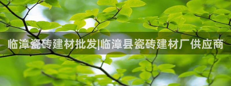 杏鑫官网注册账号是什么样的