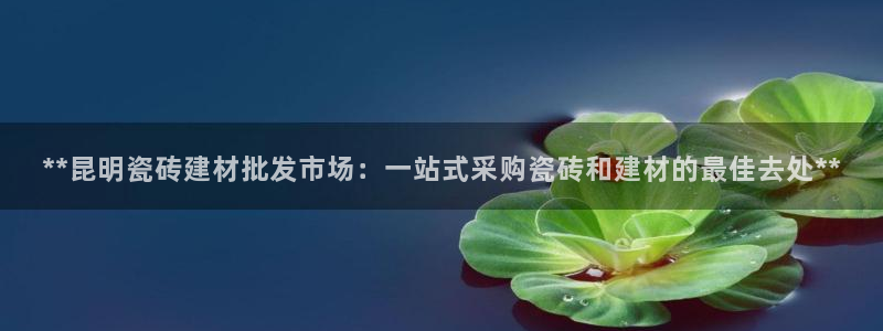 杏鑫主管