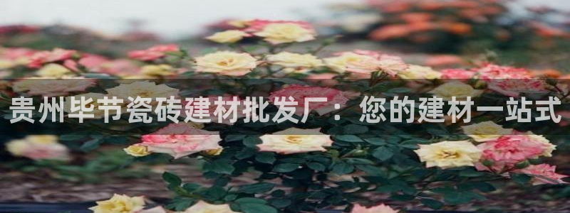 杏鑫娱乐官网下载