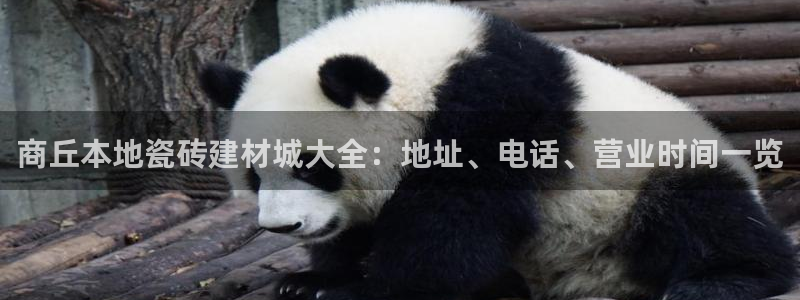 杏鑫官网最新信息新闻