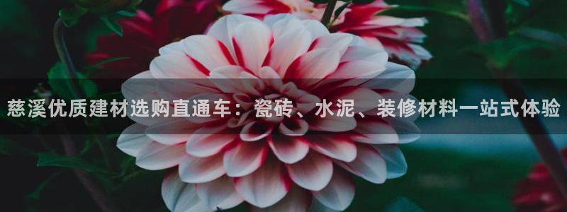 杏鑫平台注册地址在哪里