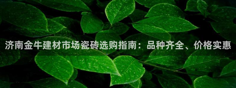 杏鑫平台代理注册登录不了怎么办呀视频