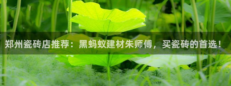 杏鑫注册登录平台是什么