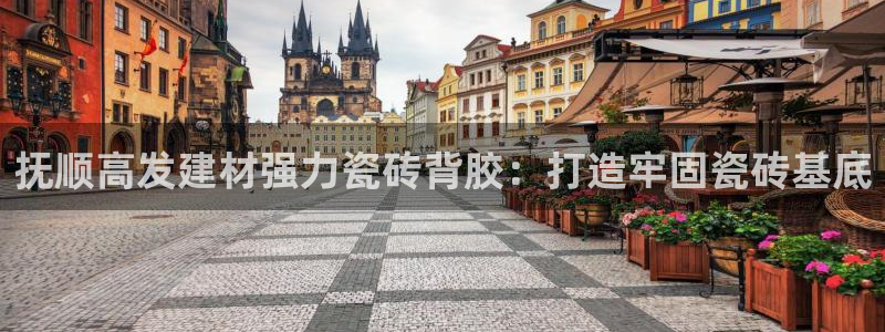 杏鑫平台登录地址查询