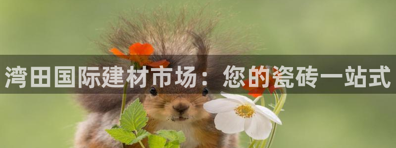 杏鑫平台野马联盟