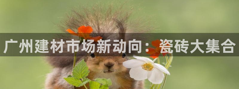 杏鑫平台注册网址查询