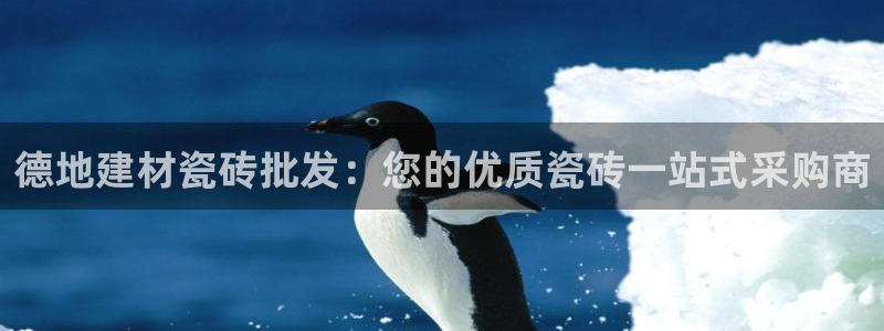 杏鑫平台代理怎么样