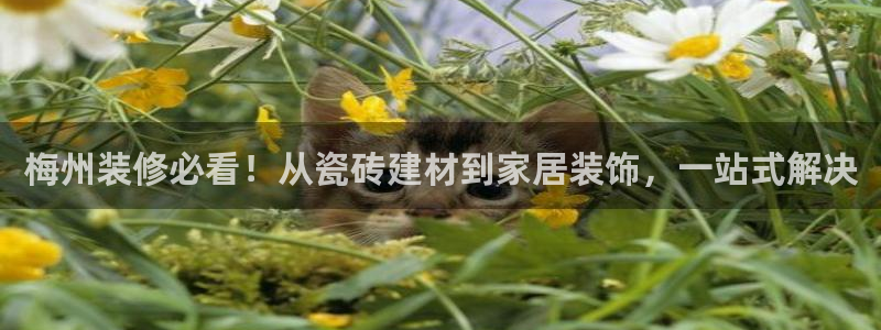 杏鑫娱乐负责人
