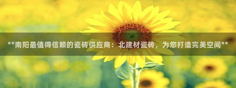 杏鑫平台代理怎么样啊