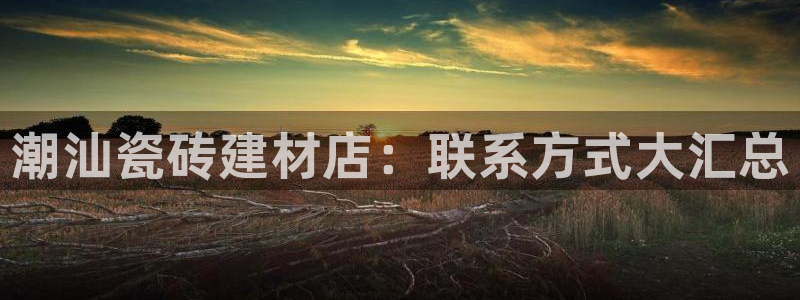 杏鑫平台代理怎么样啊