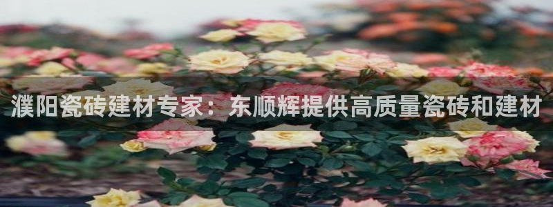 杏鑫平台怎么样黑钱吗安全吗