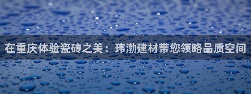 杏鑫平台登录地址查询