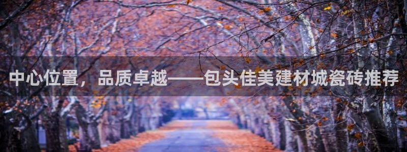 杏鑫平台代理怎么样