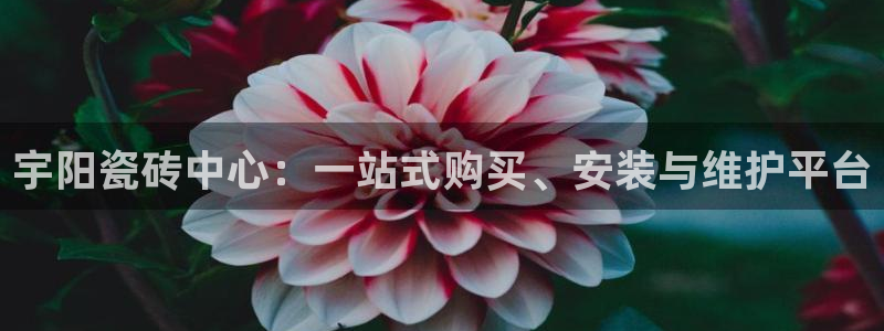 杏鑫平台招商电话是多少