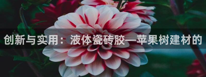杏鑫平台号7O777