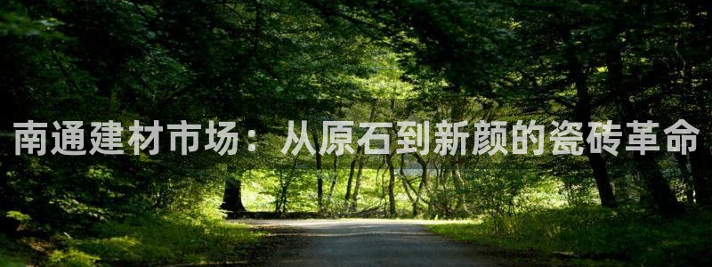 杏鑫招商总代