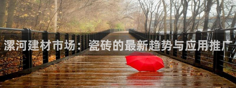 杏鑫招商总代