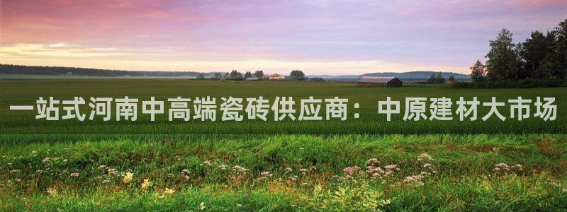 杏鑫平台招商电话号码是多少