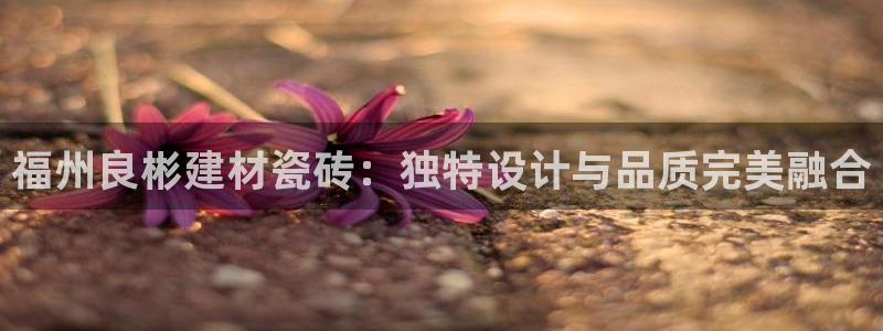 杏鑫代理注册平台