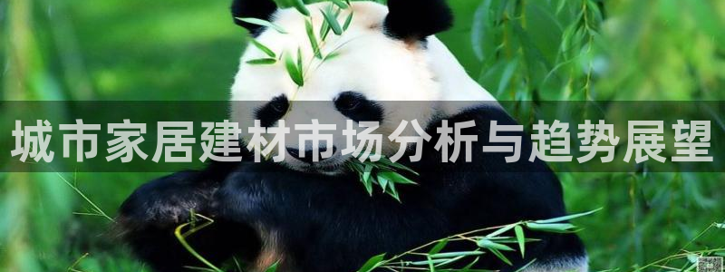 杏鑫娱乐怎么样