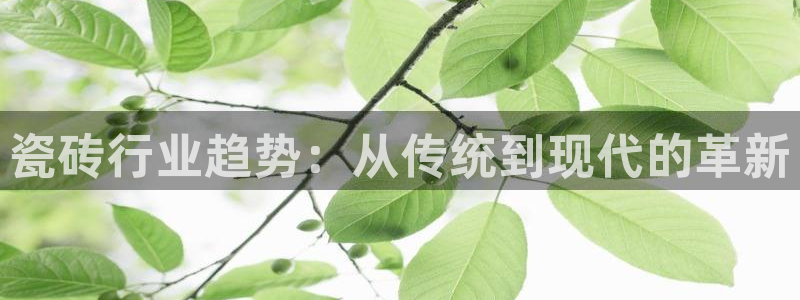 杏鑫官方app代理