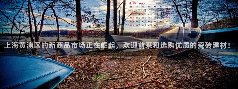 杏鑫娱乐多少年了