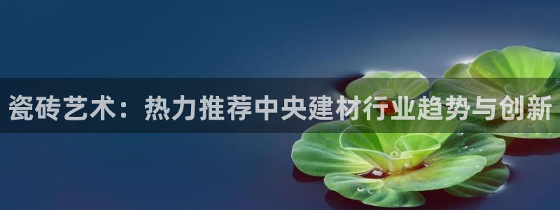 杏鑫平台代理注册流程视频