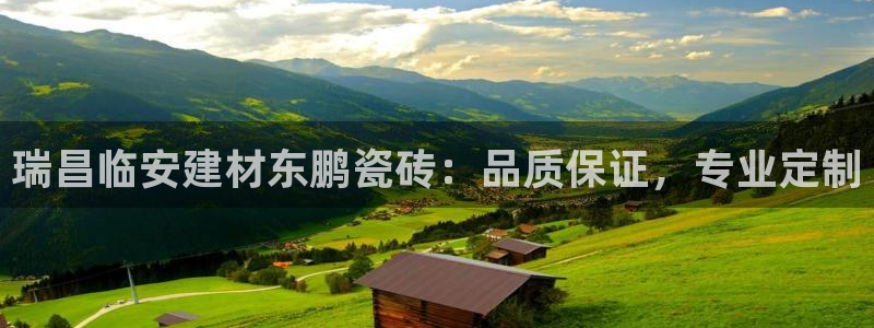 杏鑫娱乐官网