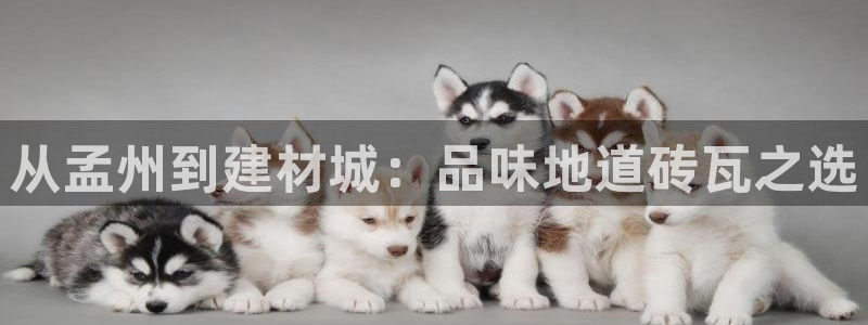 杏鑫平台代理注册要钱吗
