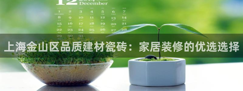 杏鑫官方平台怎么样