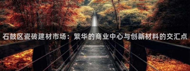 杏鑫平台注册网址是什么