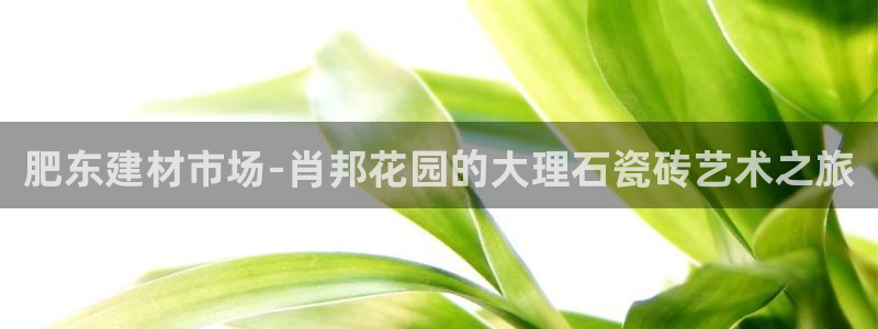 杏鑫官网最新信息新闻报道