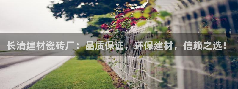 杏鑫官网最新信息